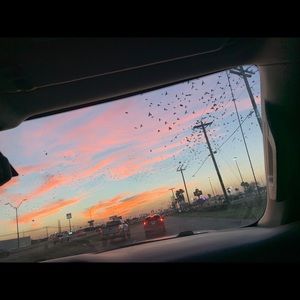 Meet your Posher, Evelyn